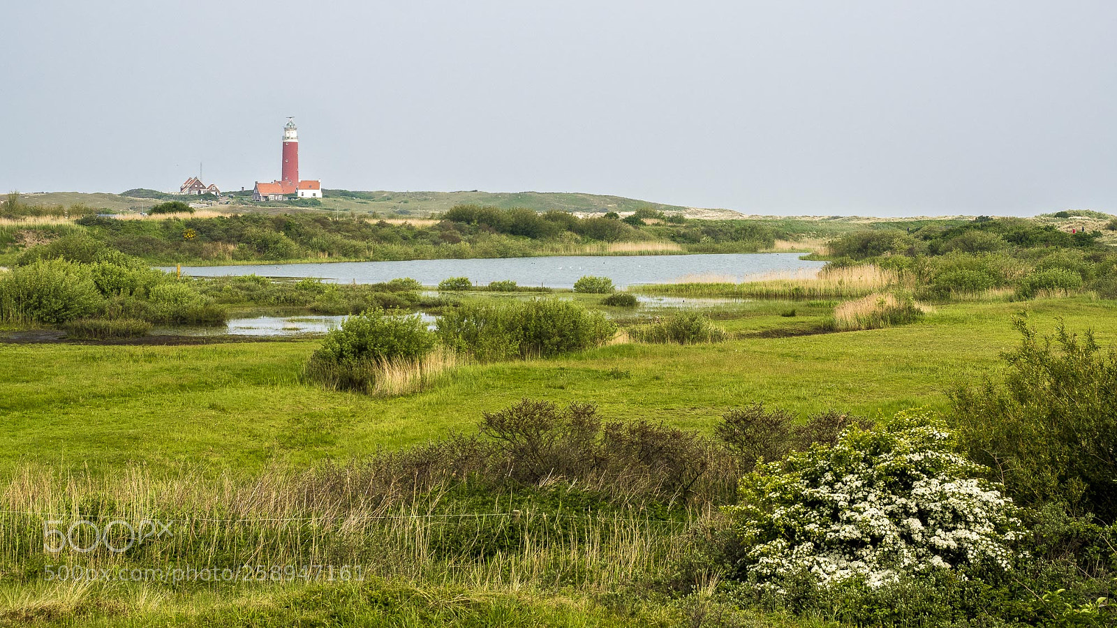 Olympus OM-D E-M5 II sample photo. Vuurtoren photography