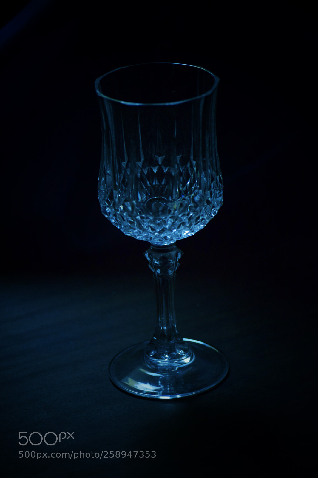 Nikon D5300 sample photo. Untitled photography