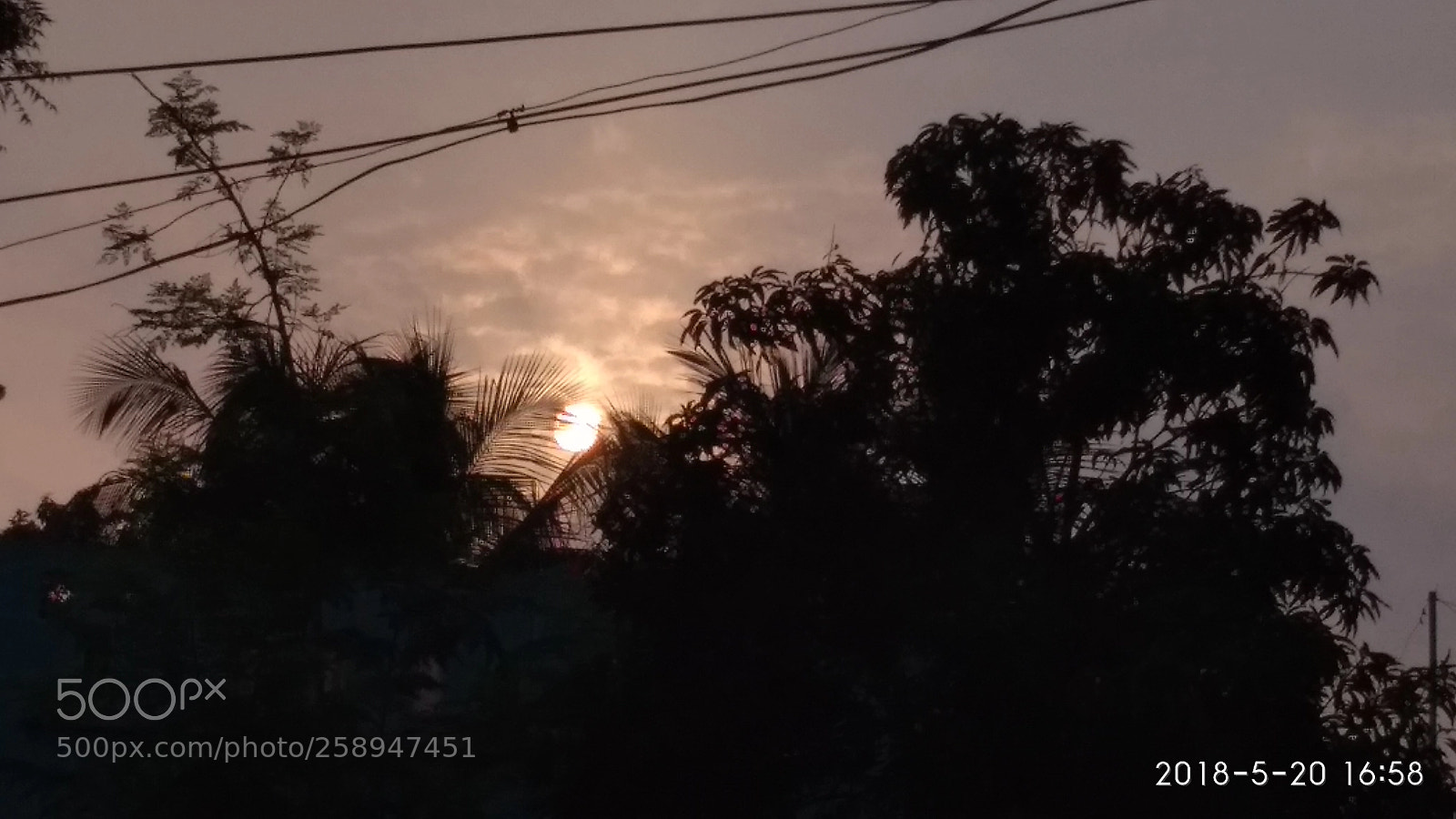 Xiaomi Redmi 4A sample photo. Untitled photography