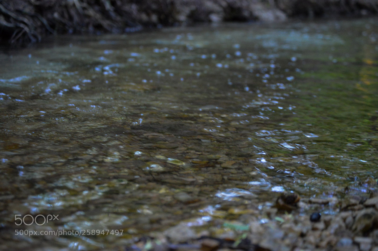 Nikon D3200 sample photo. Current photography