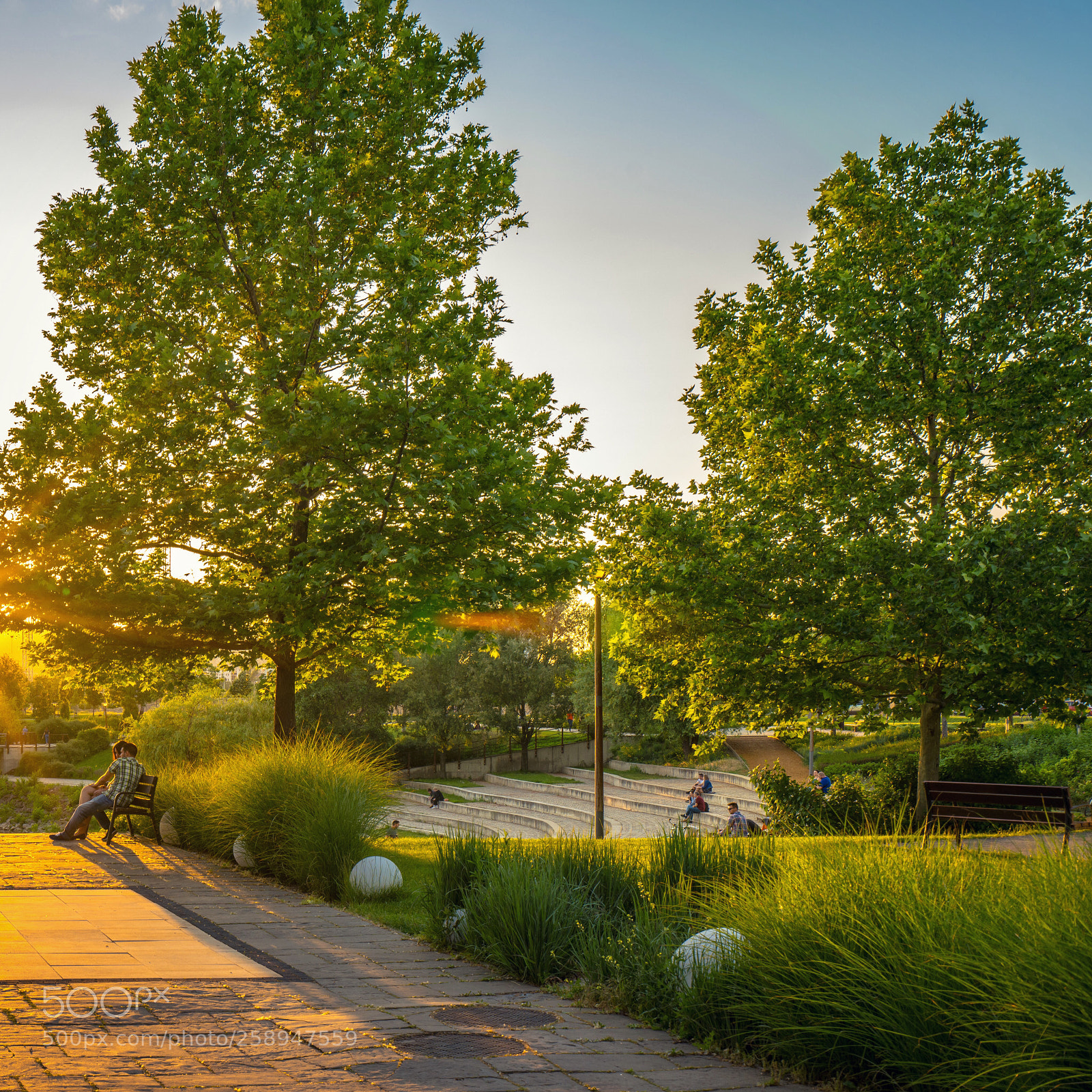 Sony a7R III sample photo. Amazing park in new photography