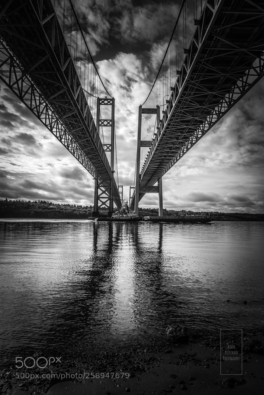 Nikon D800 sample photo. Beneath giants photography