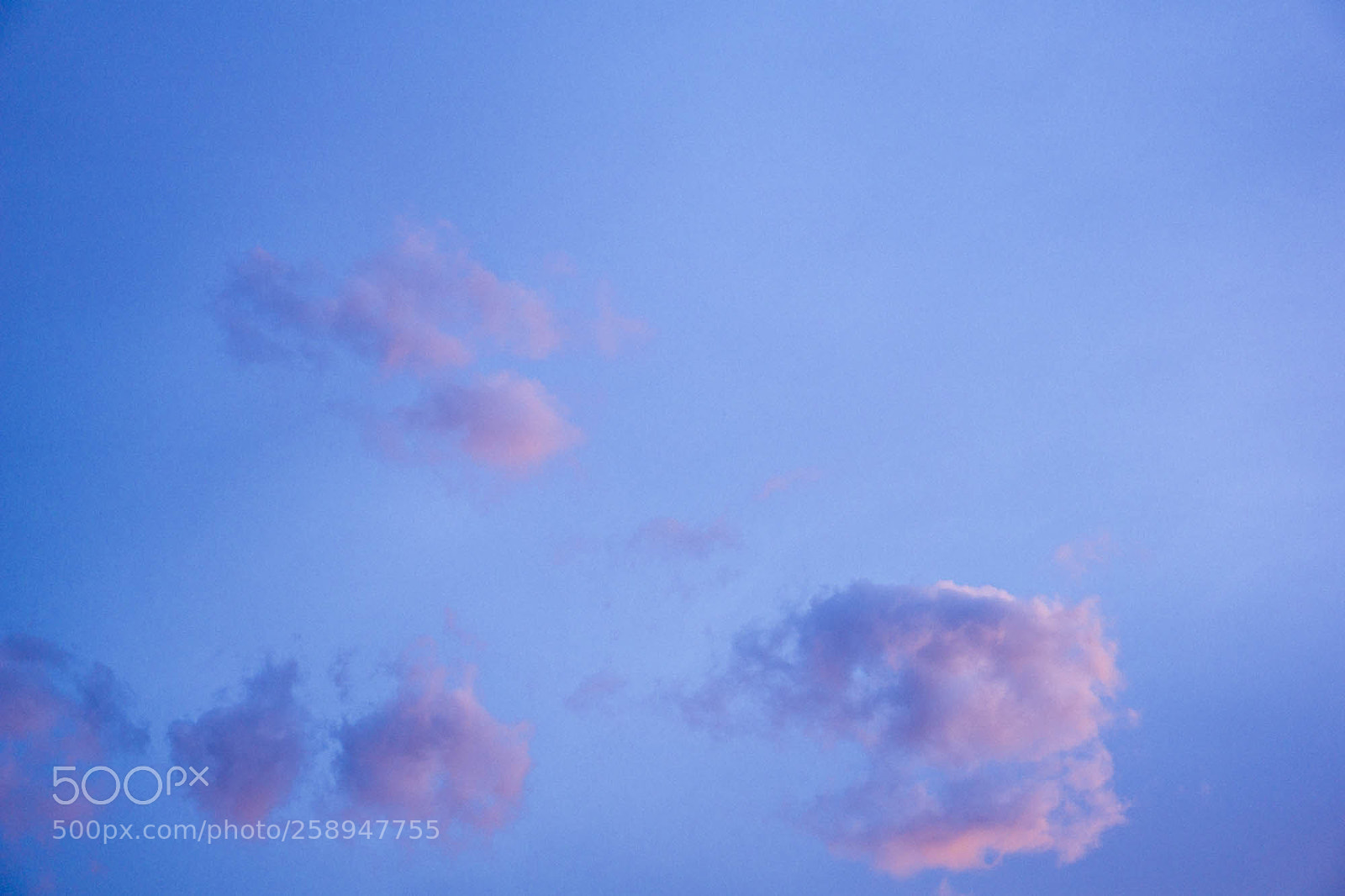 Sony a6000 sample photo. 2016 photography