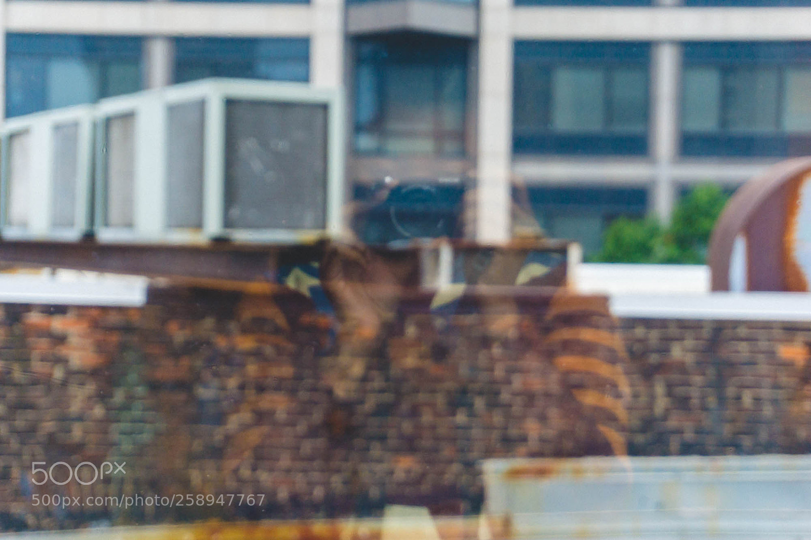 Sony a6000 sample photo. 2016 photography