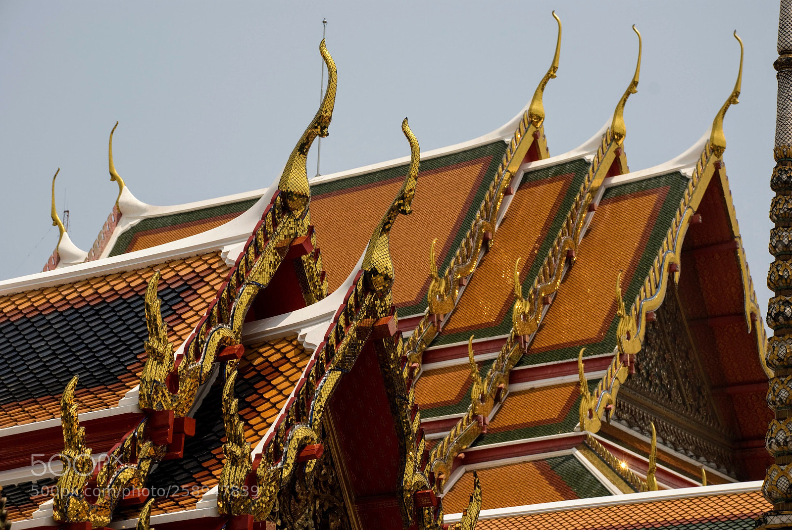 Nikon D80 sample photo. Wat pho roofs  photography