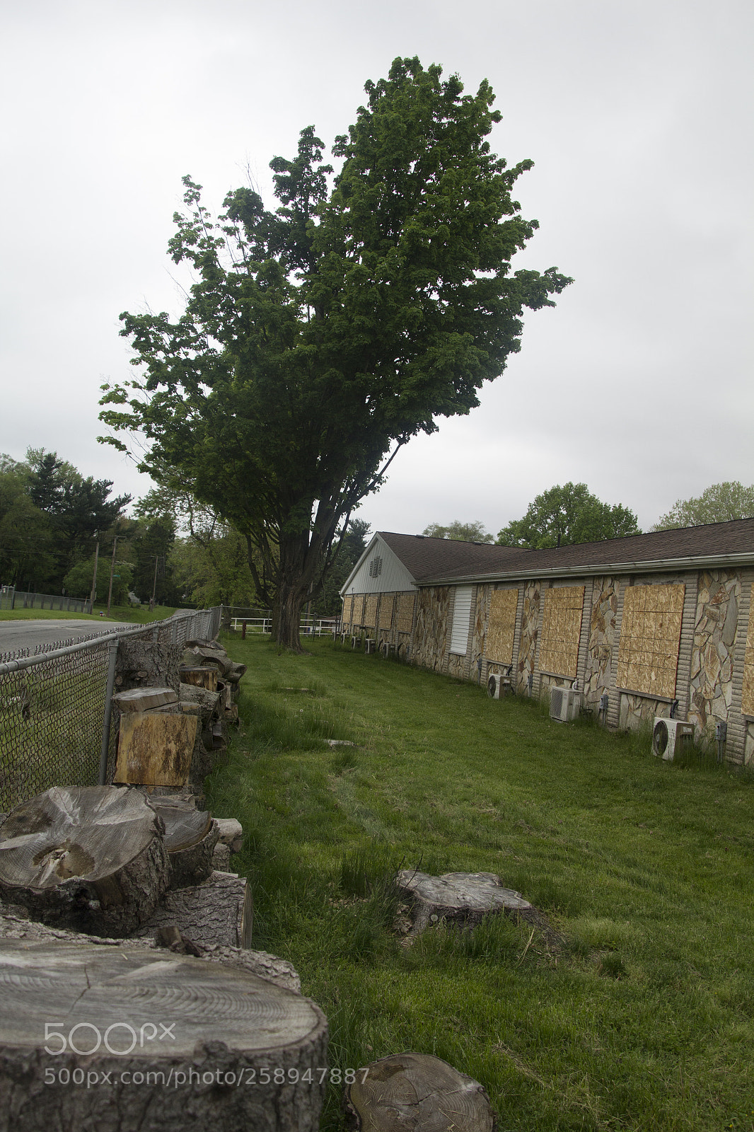 Canon EOS 1200D (EOS Rebel T5 / EOS Kiss X70 / EOS Hi) sample photo. Firewood and boarded up photography