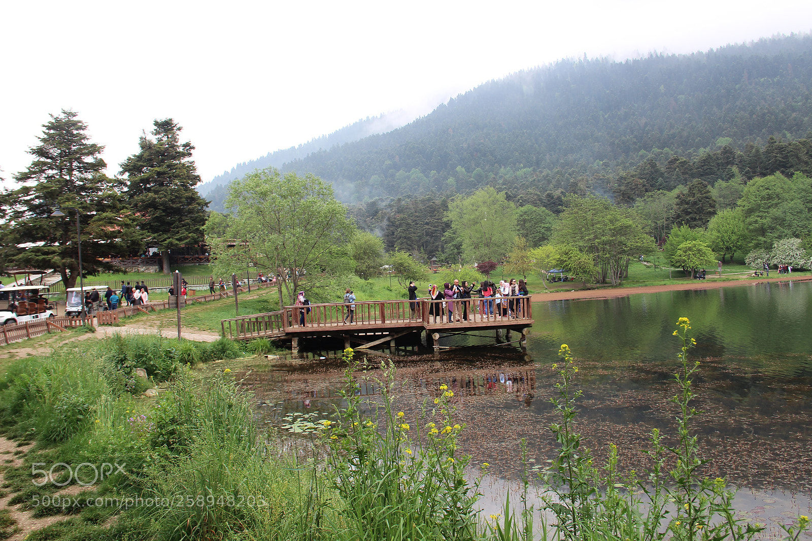 Canon EOS 600D (Rebel EOS T3i / EOS Kiss X5) sample photo. G lc k natural photography