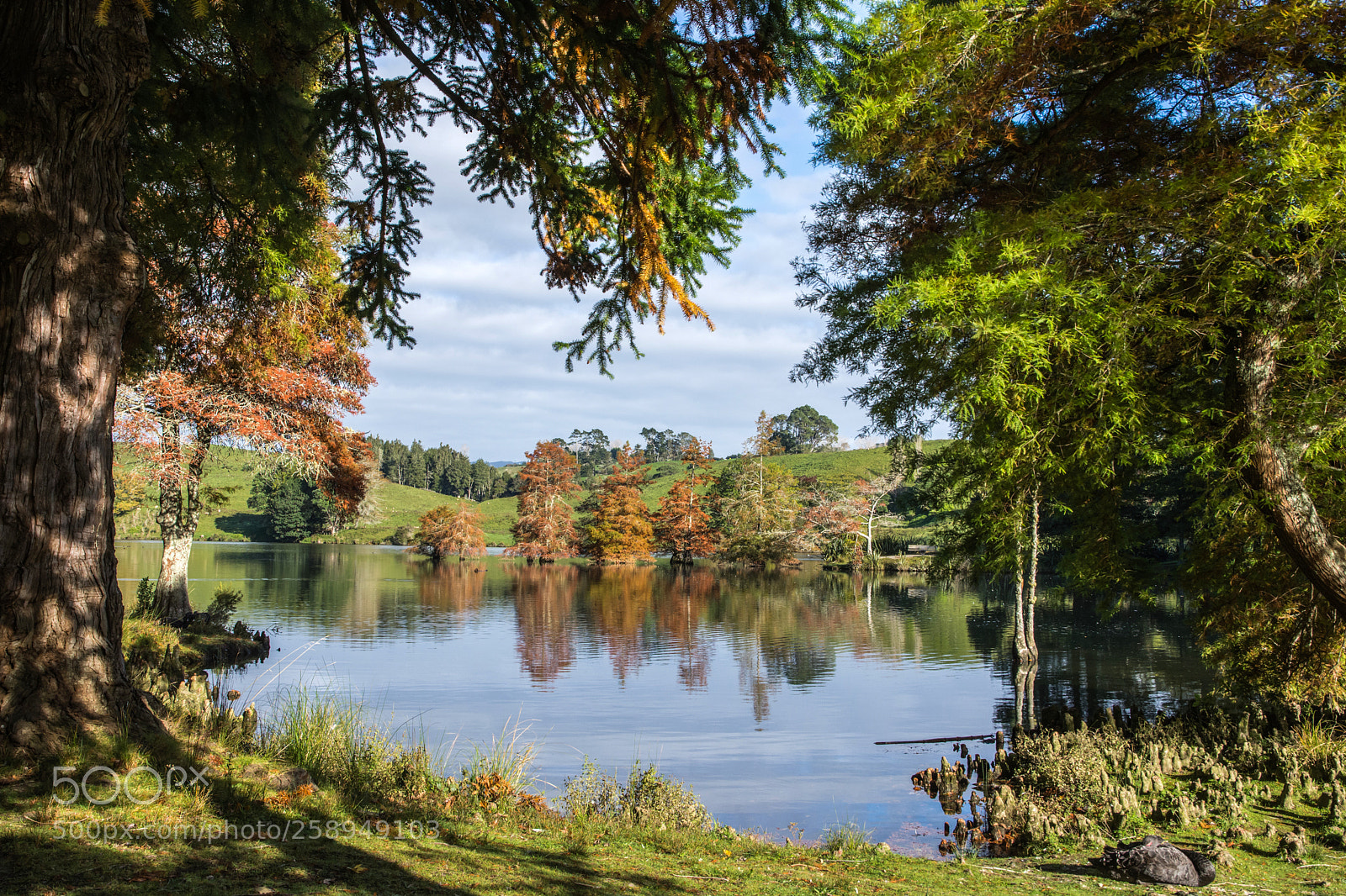 Nikon D7200 sample photo. Autumn colours photography