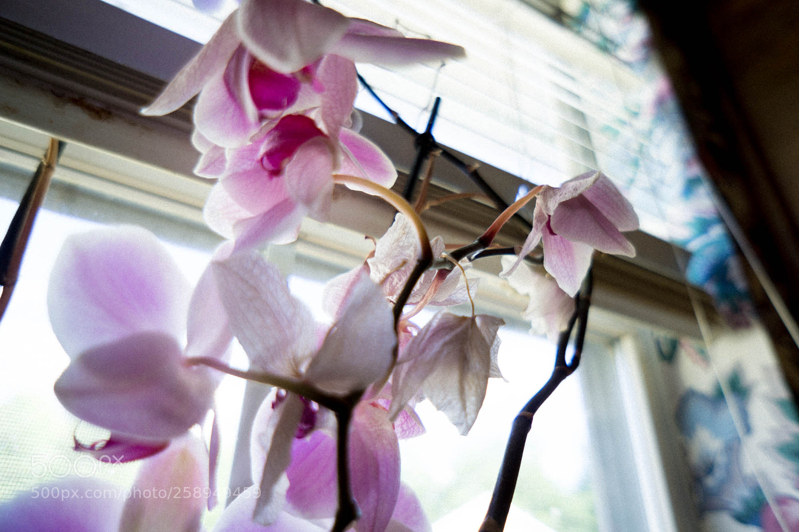 Sony a6000 sample photo. Dsc photography