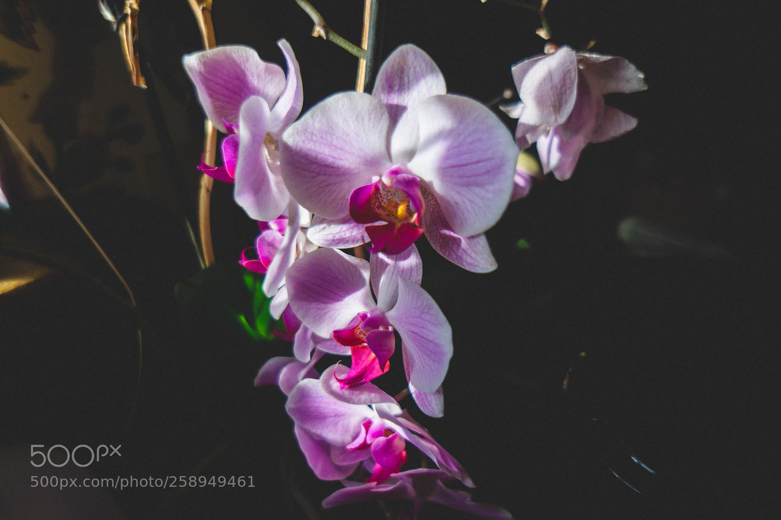Sony a6000 sample photo. Dsc photography