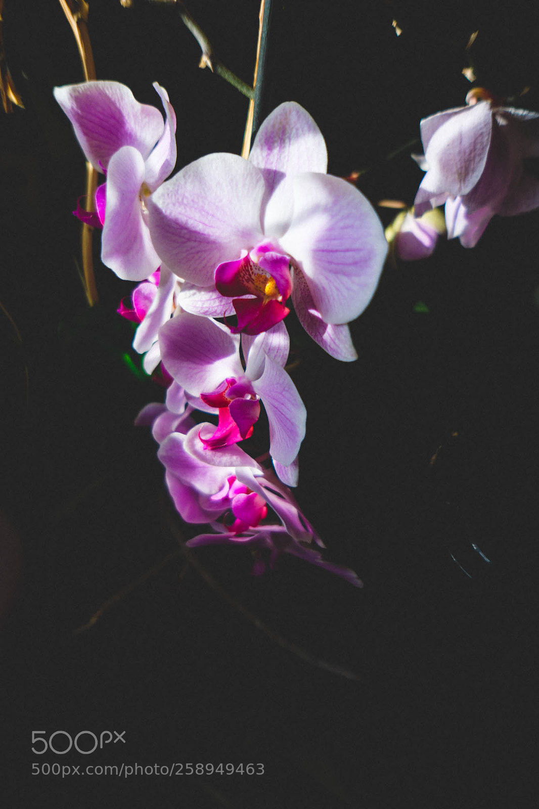 Sony a6000 sample photo. Dsc photography