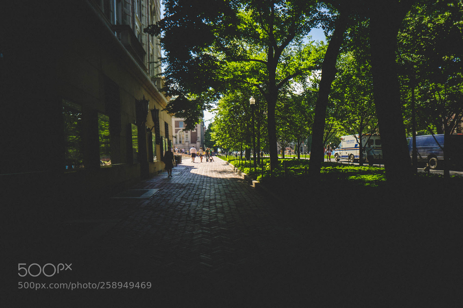 Sony a6000 sample photo. Dsc photography