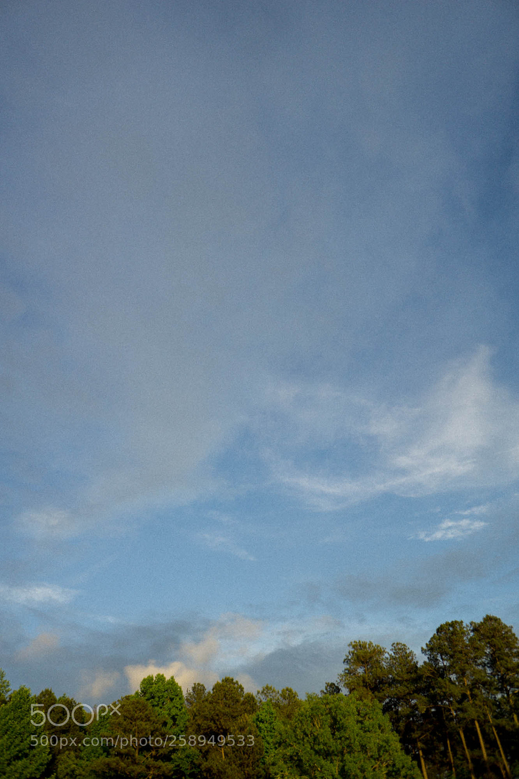 Sony a6000 sample photo. Dsc photography