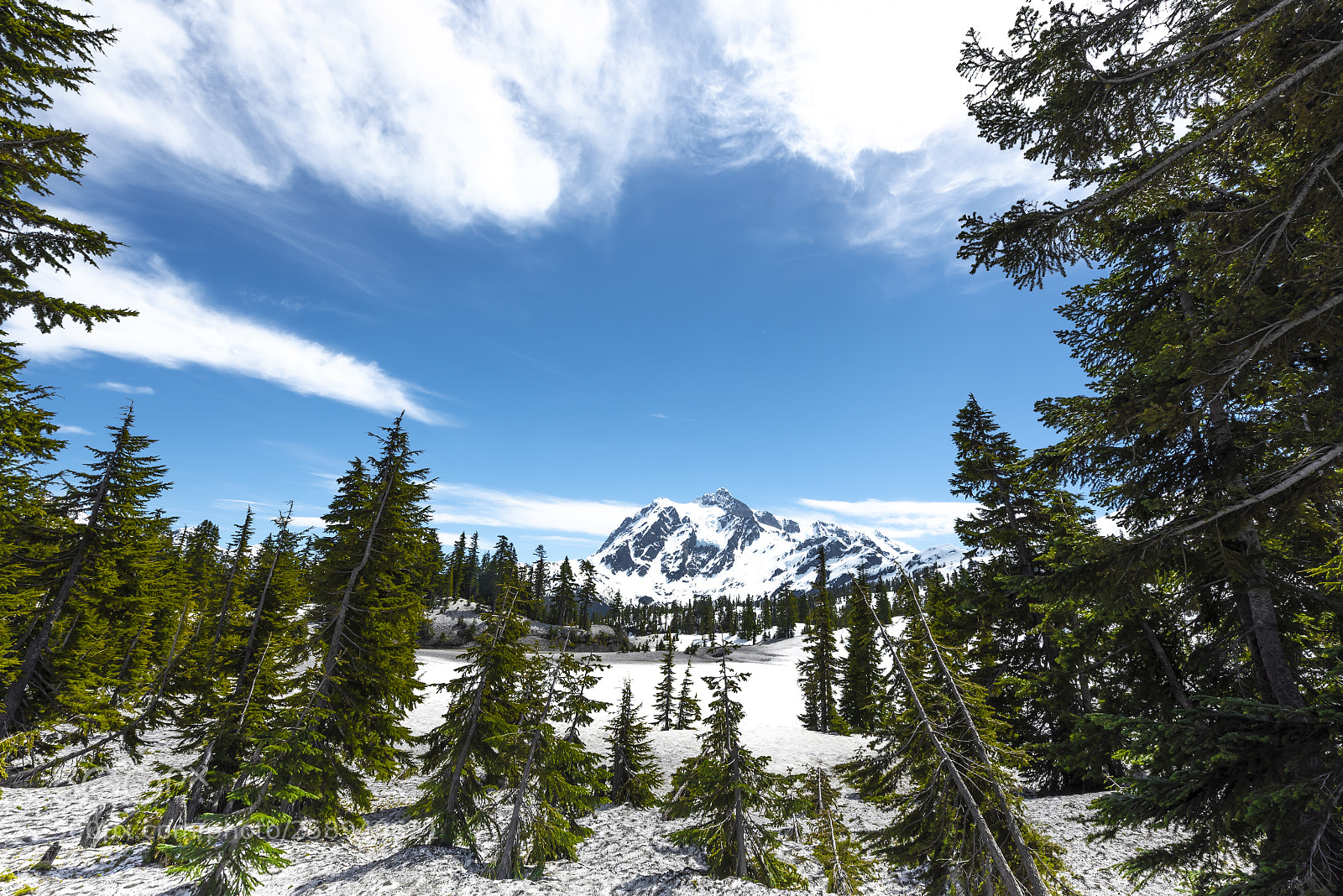 Nikon D750 sample photo. Breathtaking views of mt photography