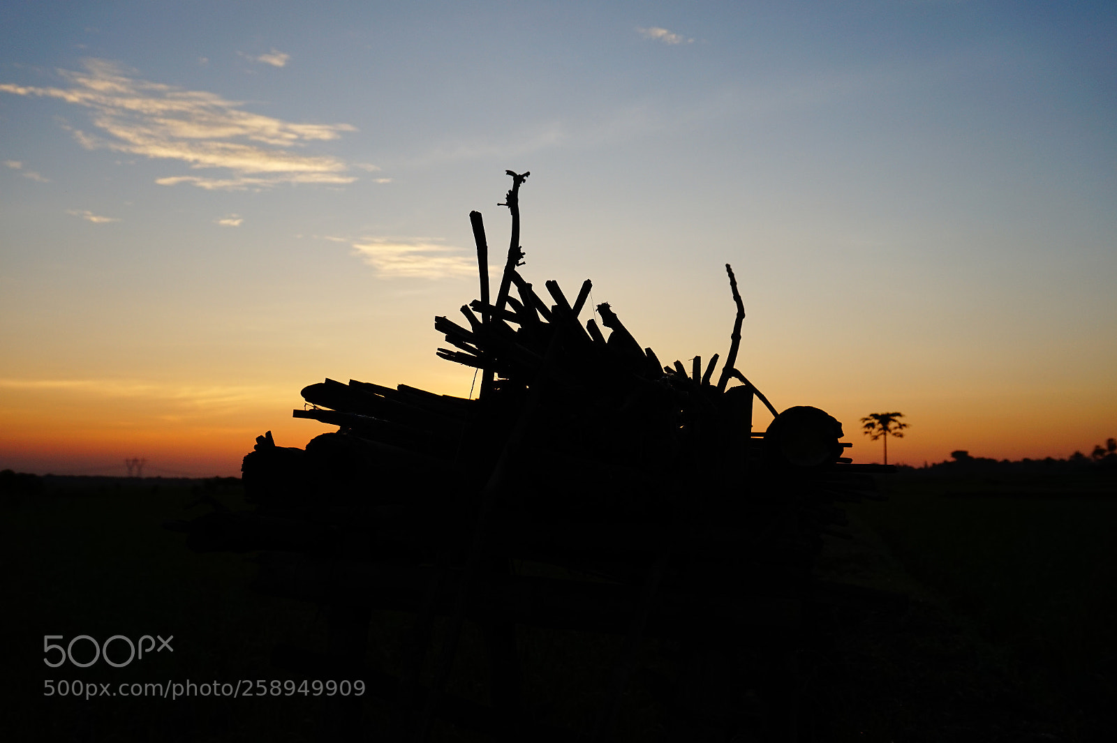 Sony Alpha a5000 (ILCE 5000) sample photo. Shadow in sunrise photography