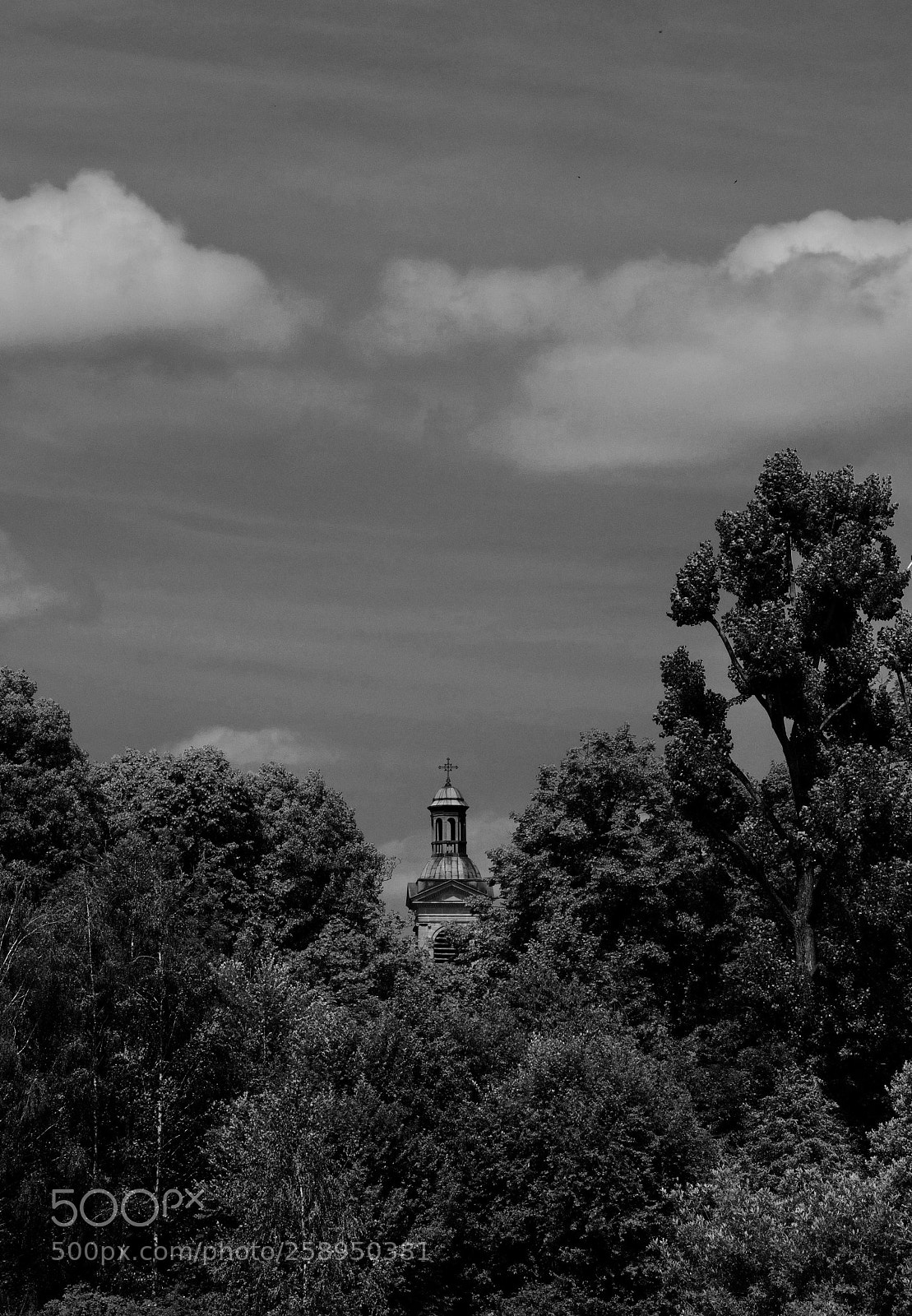 Nikon D500 sample photo. Untitled photography