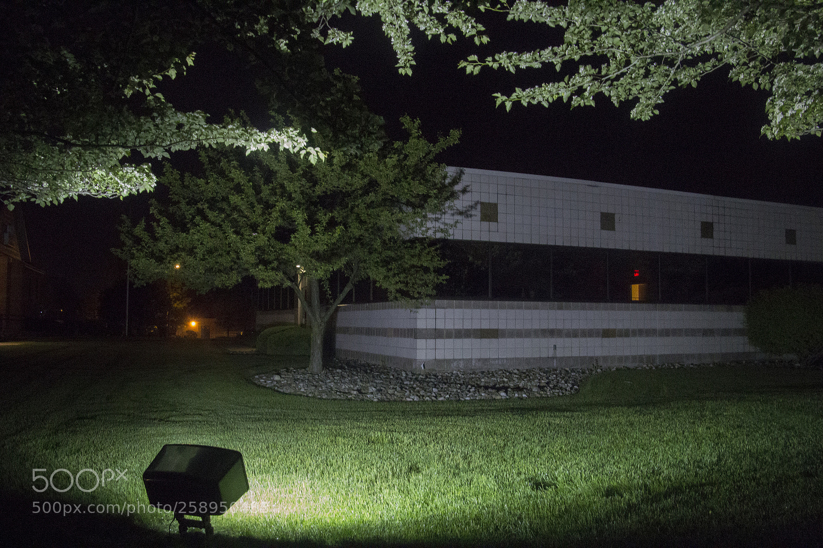 Canon EOS 1200D (EOS Rebel T5 / EOS Kiss X70 / EOS Hi) sample photo. Strangely landscaped building. photography