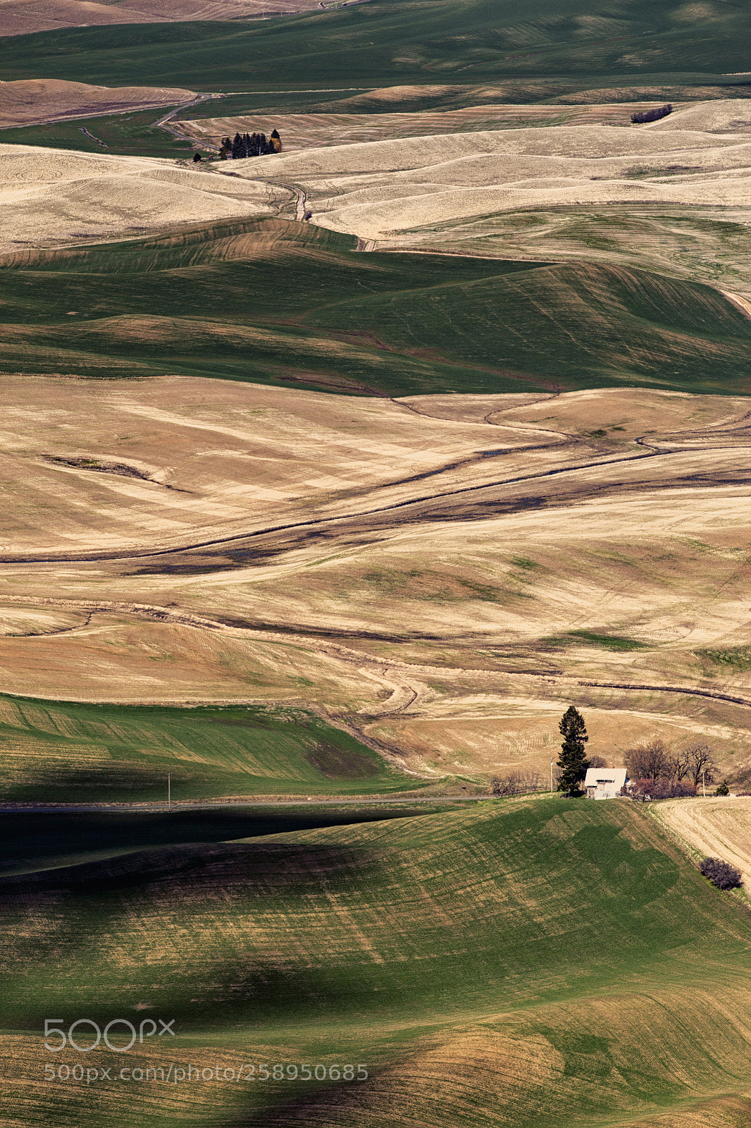 Canon EOS 6D sample photo. Layers of palouse photography