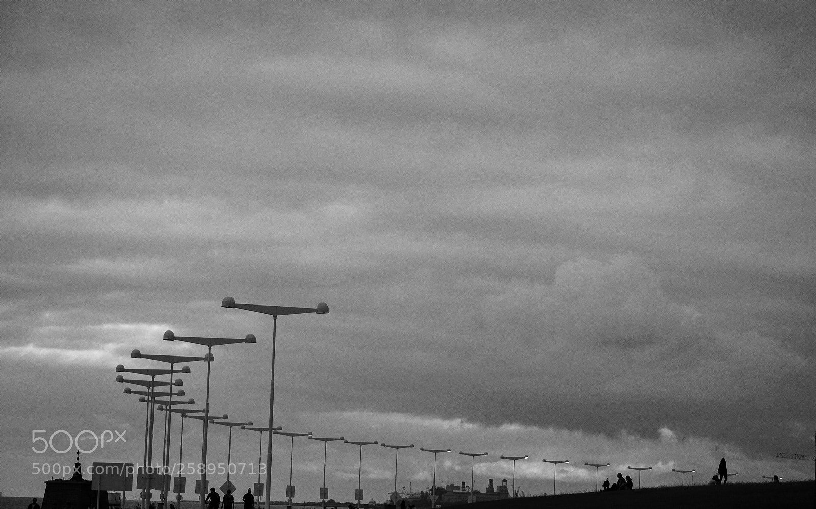 Nikon D3000 sample photo. Untitled photography