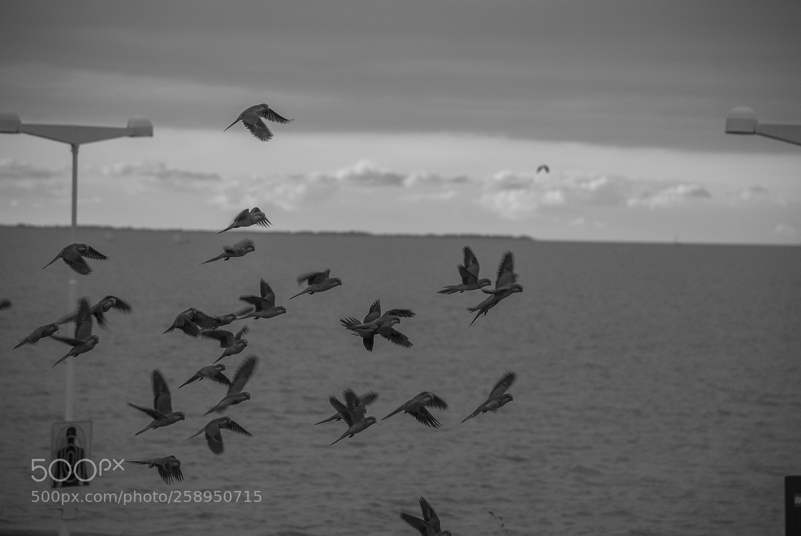 Nikon D3000 sample photo. Untitled photography