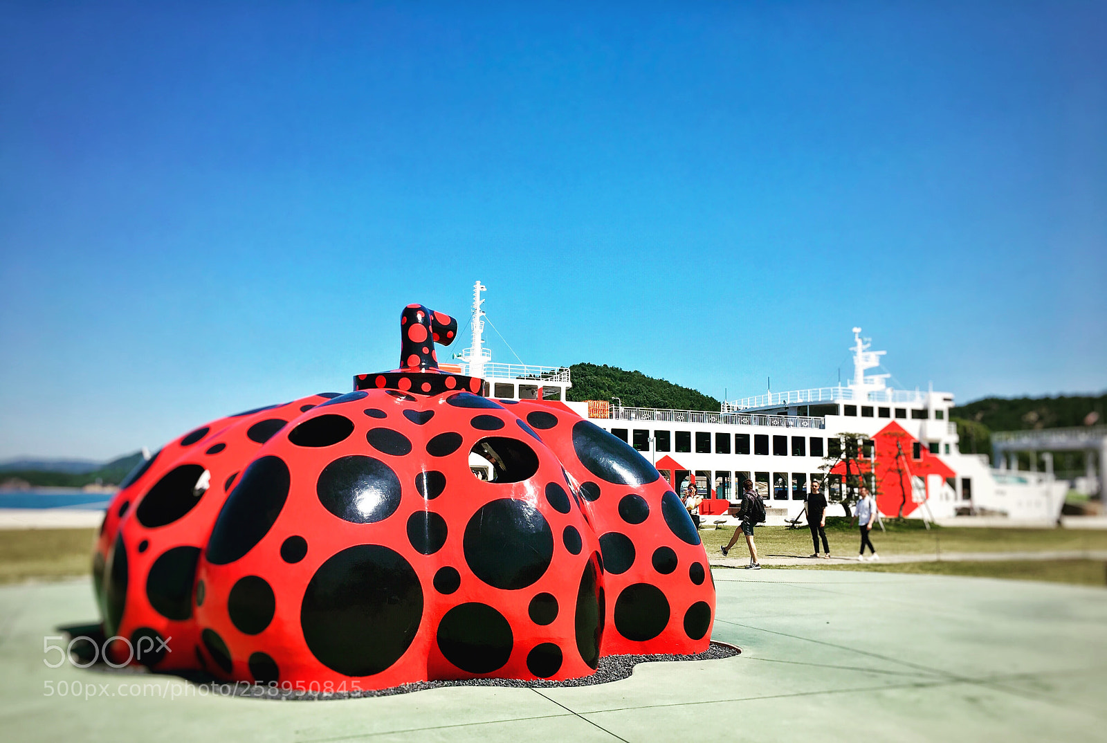 Apple iPhone 6s Plus sample photo. Yayoi kusama’s pumpkin  photography