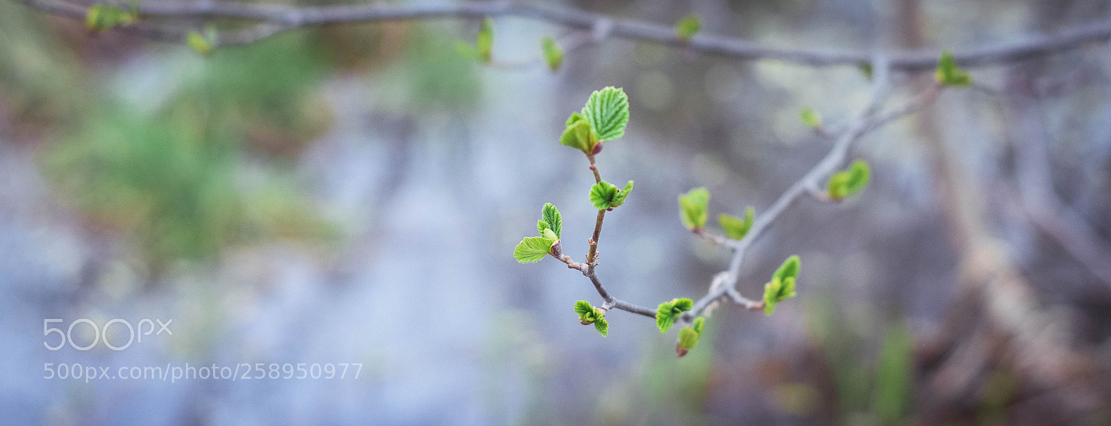 Nikon D7000 sample photo. Untitled photography