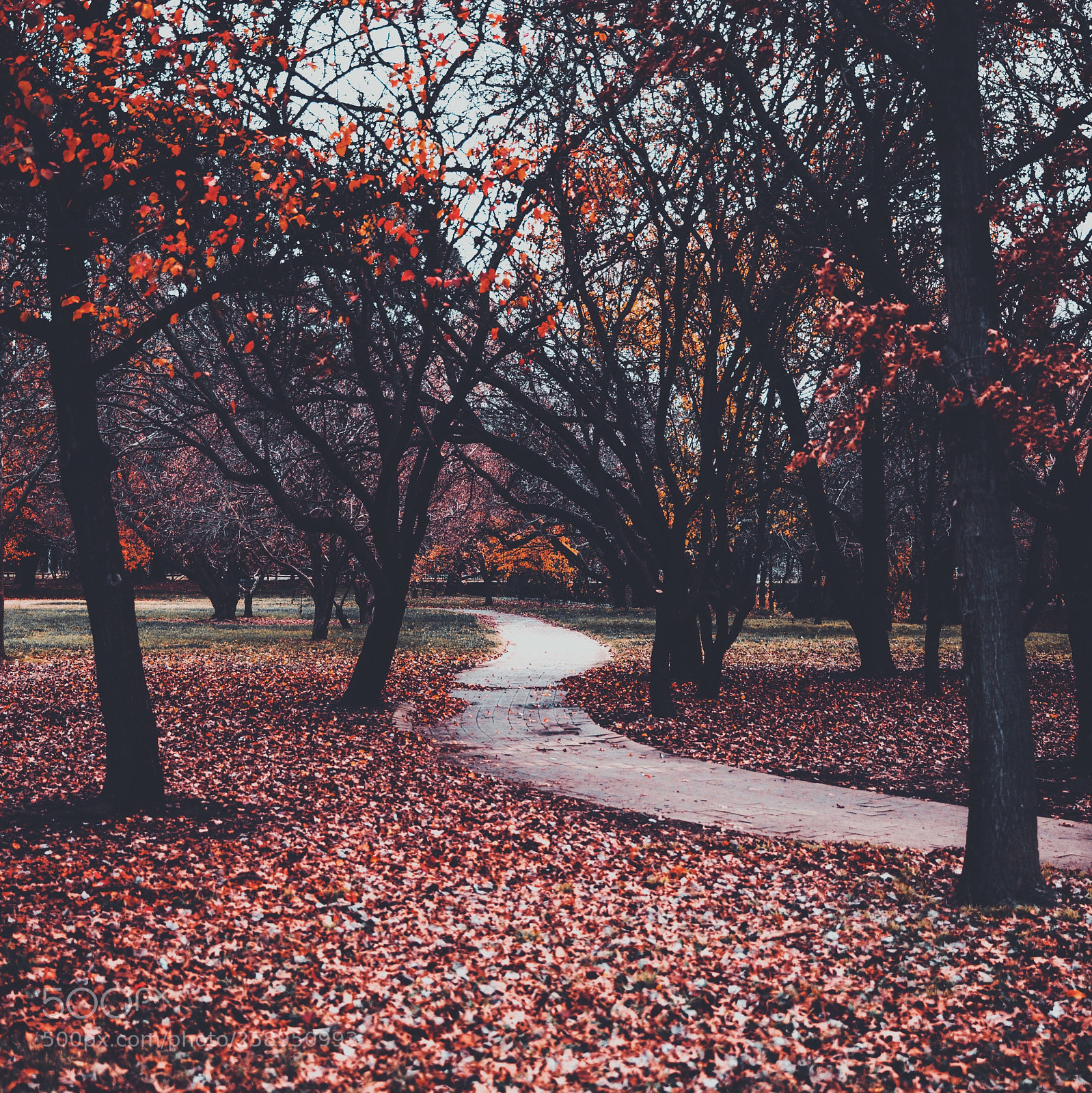 Canon EOS 6D sample photo. Untitled photography