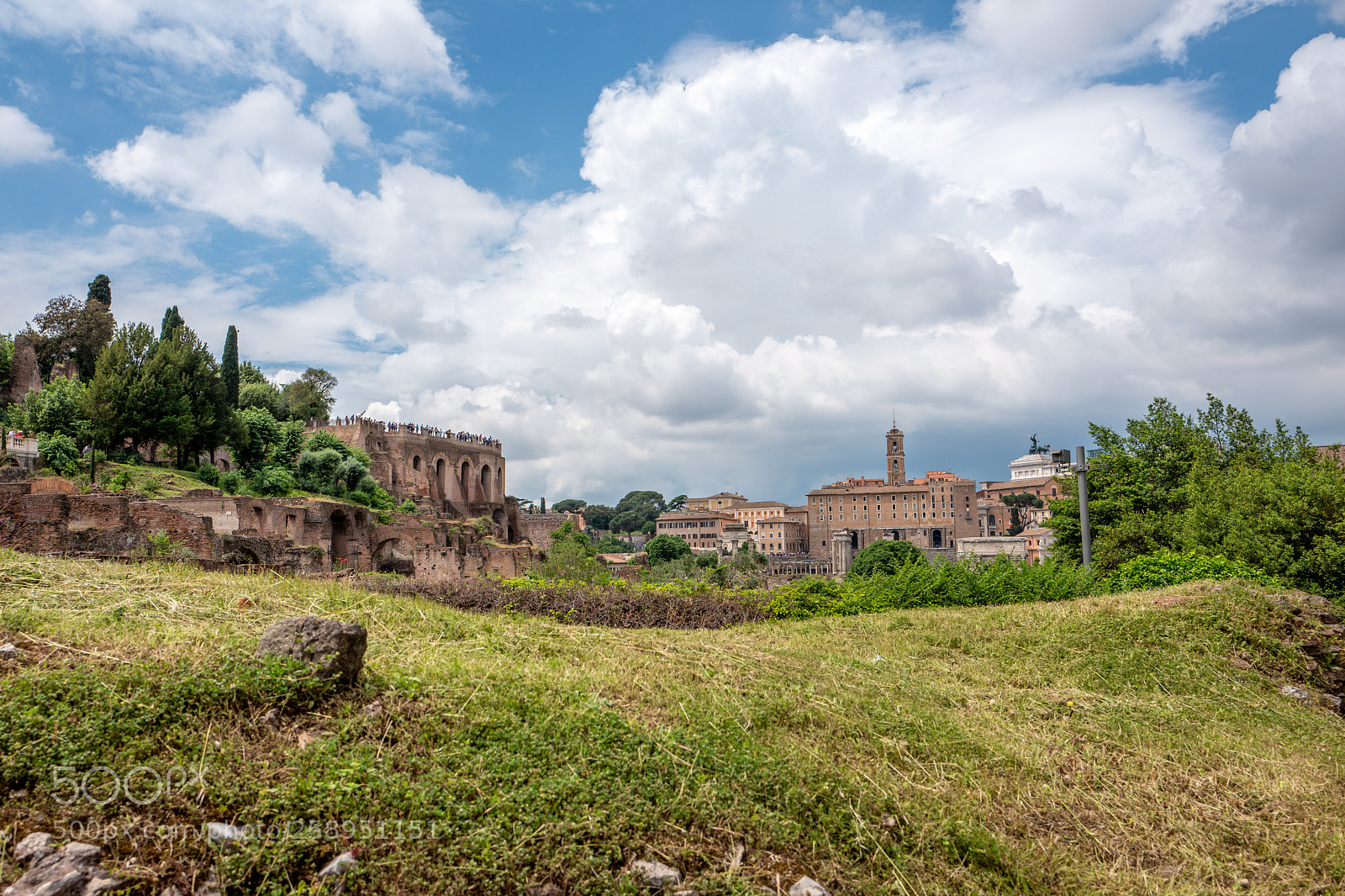 Leica Q (Typ 116) sample photo. View from roman forum photography