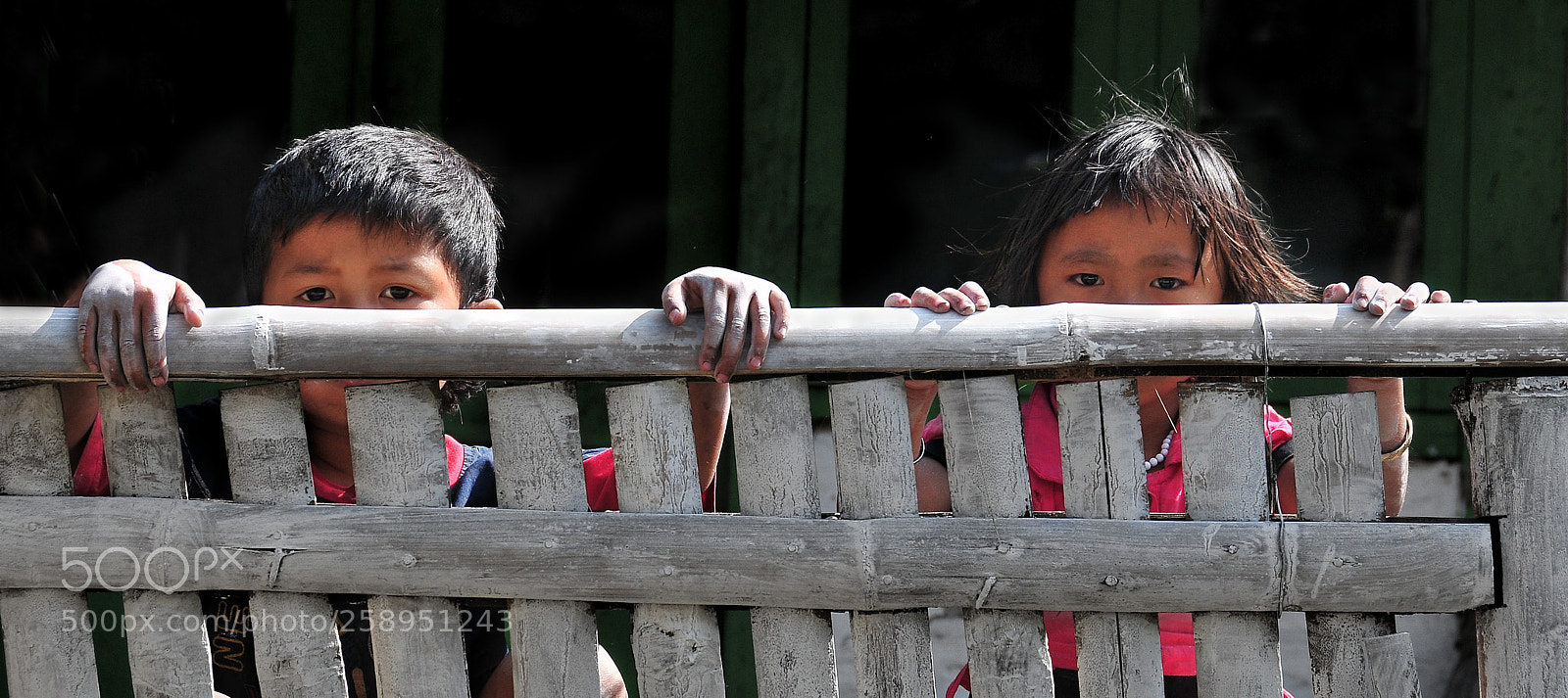 Nikon D300 sample photo. Prying eyes photography