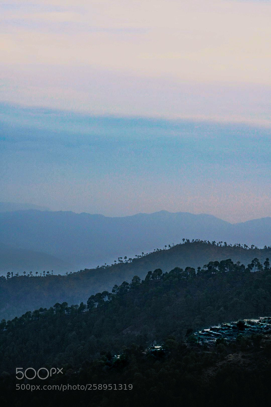 Sony a7R II sample photo. Foot hills! photography