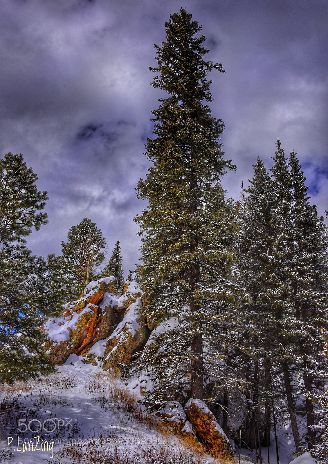 Nikon D810 sample photo. Winter in the jemez photography
