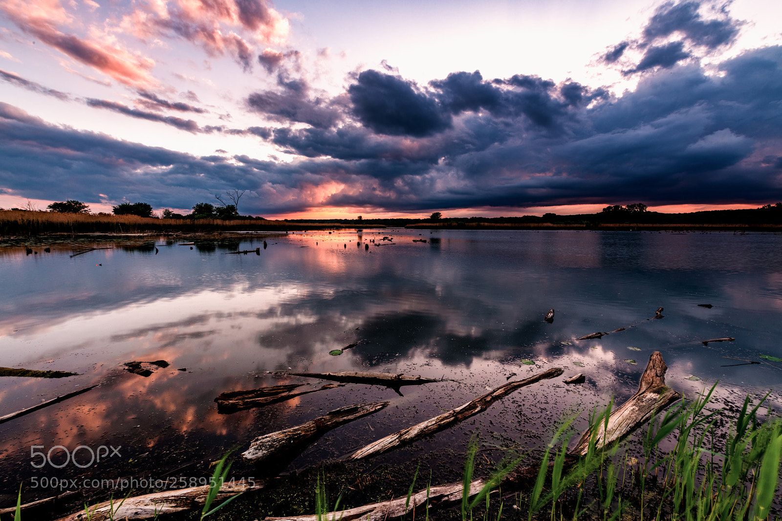 Nikon D850 sample photo. Lakeview at dusk photography