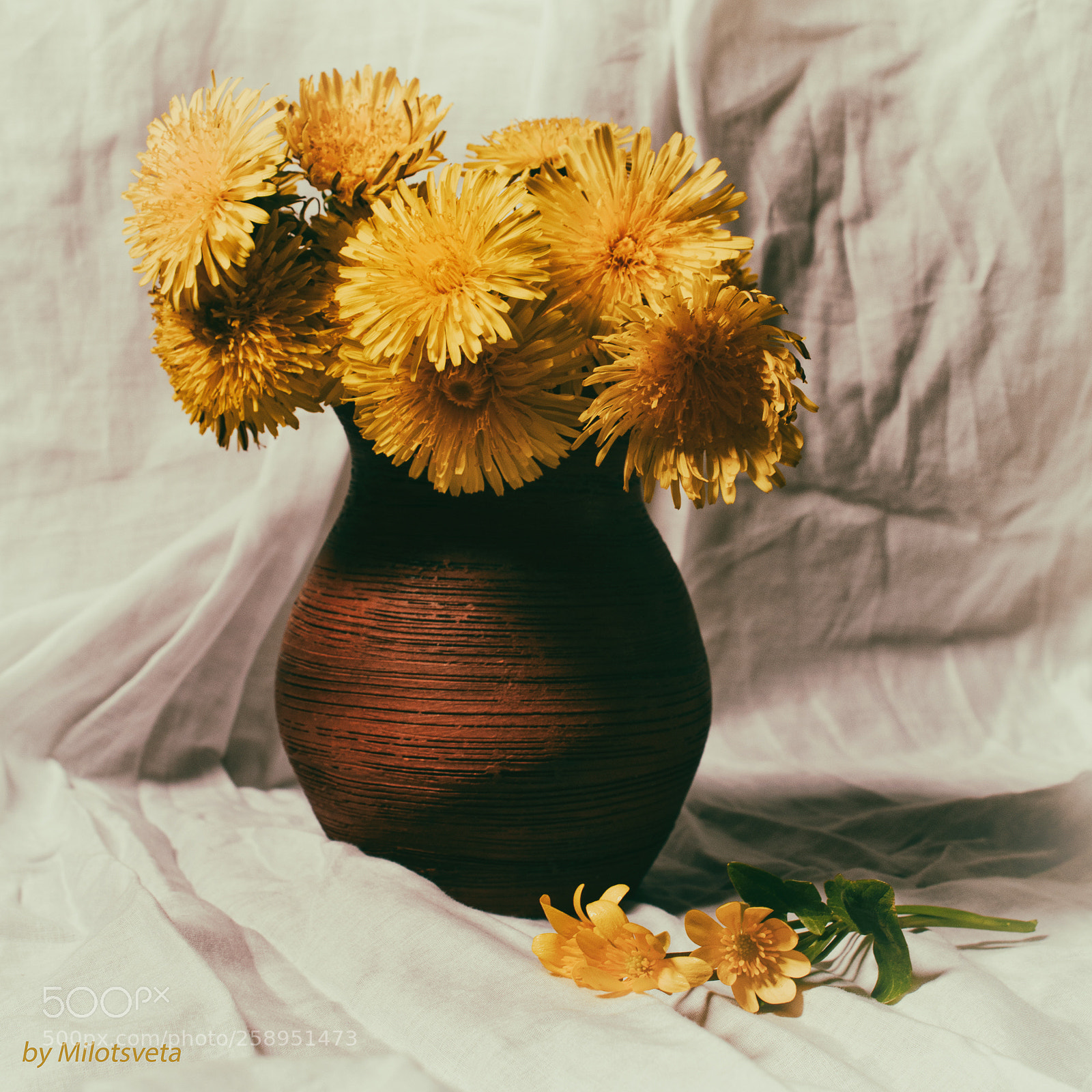 Nikon D3300 sample photo. Spring bouquet photography