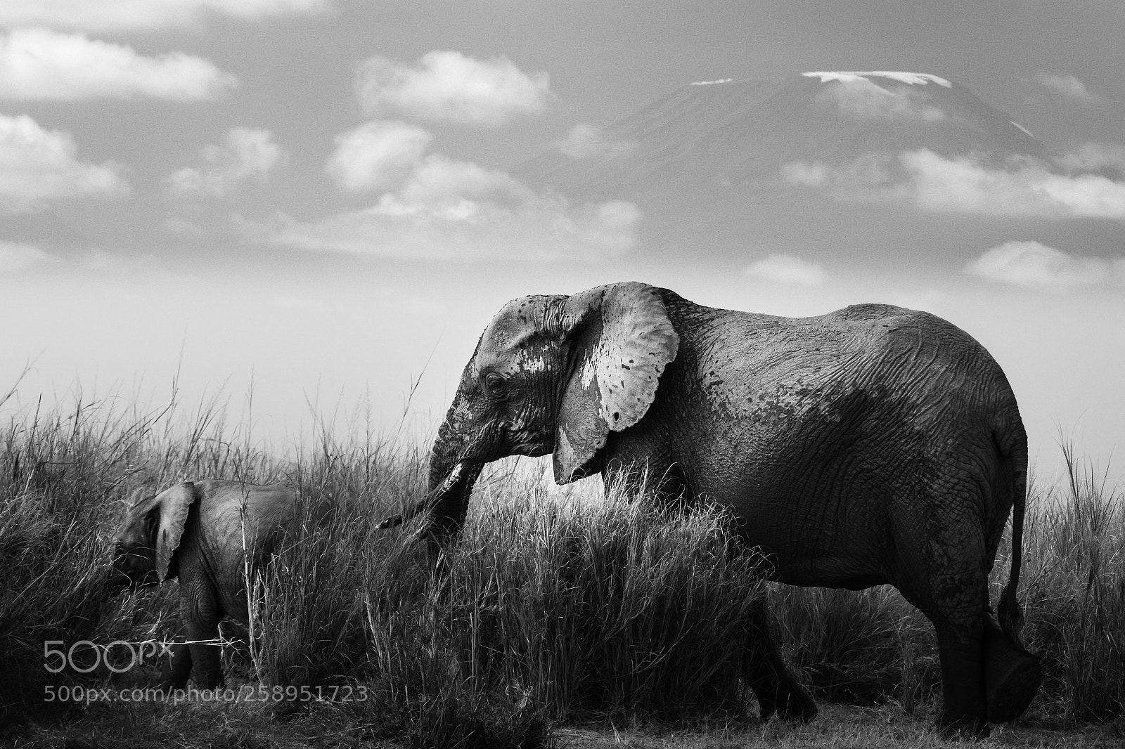 Canon EOS 7D Mark II sample photo. 4d2a1708-2.jpg photography