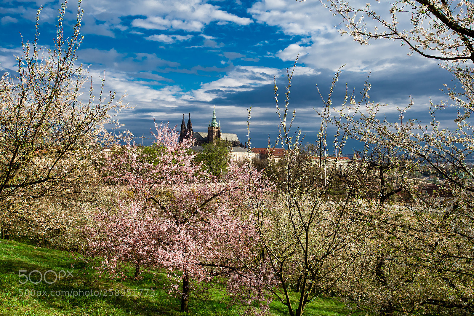 Canon EOS 6D sample photo. Spring in prague photography