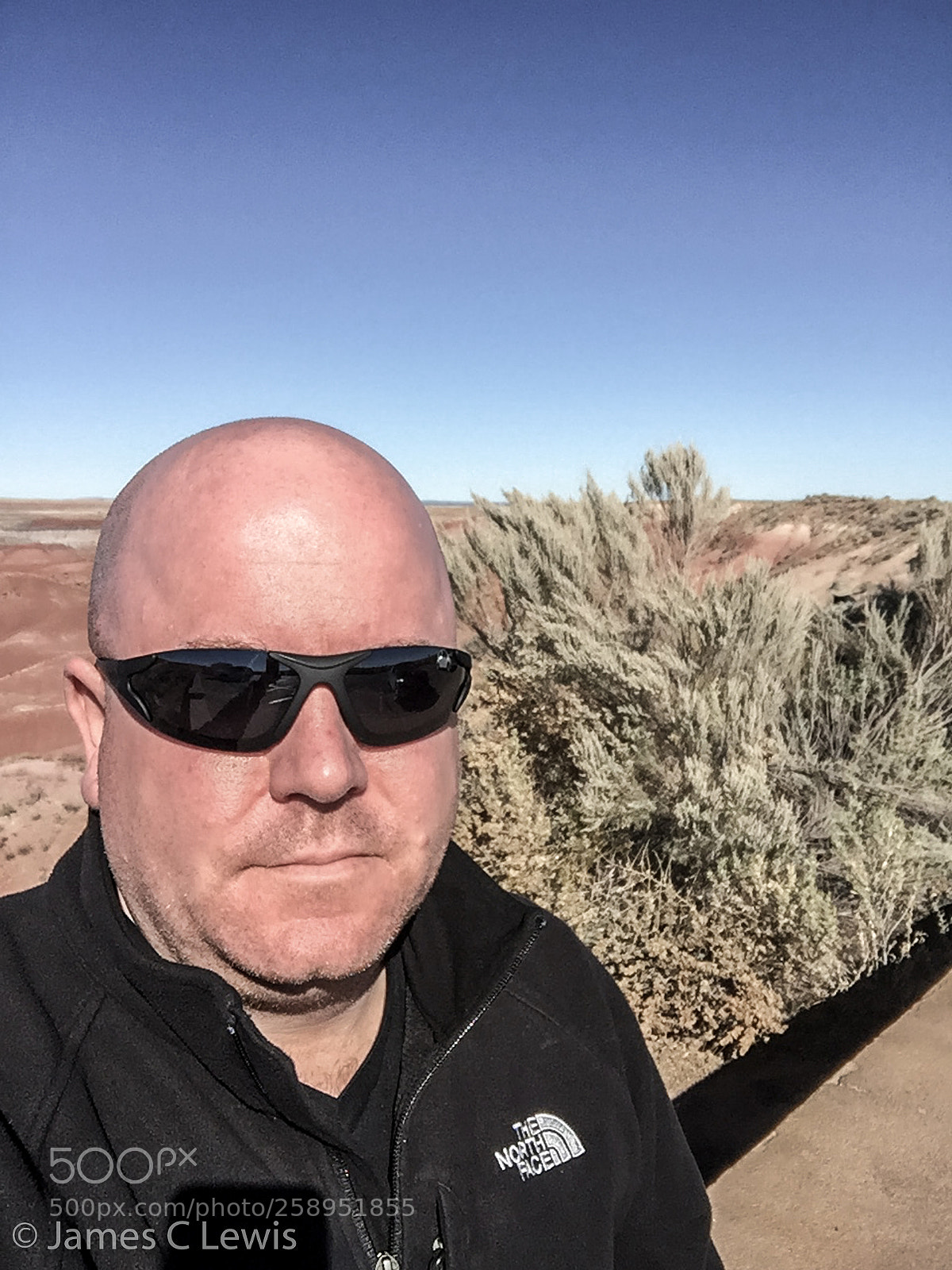 Apple iPhone 6 sample photo. Petrified forest national park photography