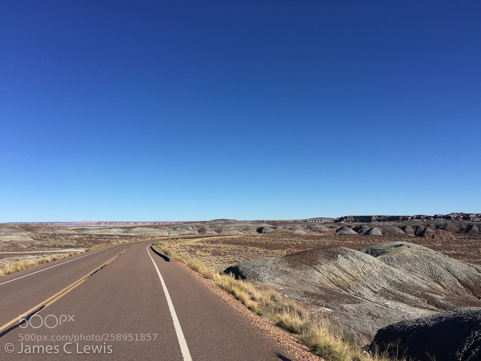 Apple iPhone 6 sample photo. Petrified forest national park photography