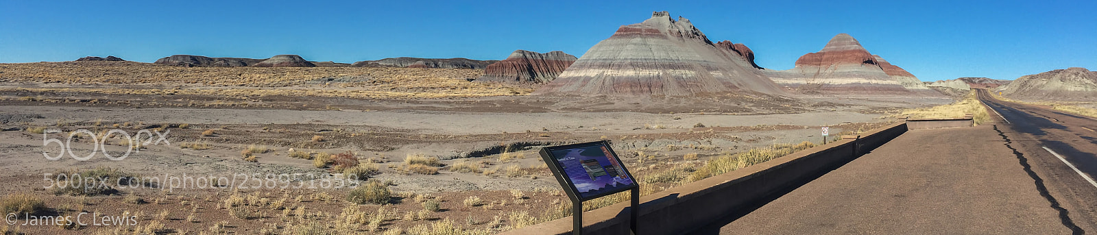 Apple iPhone 6 sample photo. Petrified forest national park photography