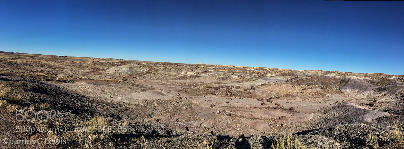 Apple iPhone 6 sample photo. Petrified forest national park photography