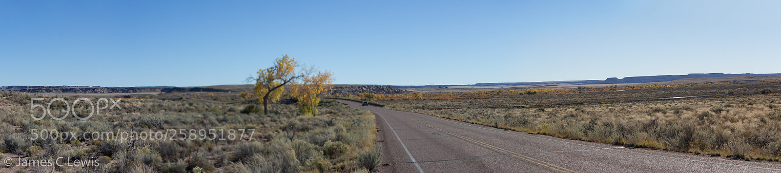 Canon EOS 700D (EOS Rebel T5i / EOS Kiss X7i) sample photo. Petrified forest national park photography