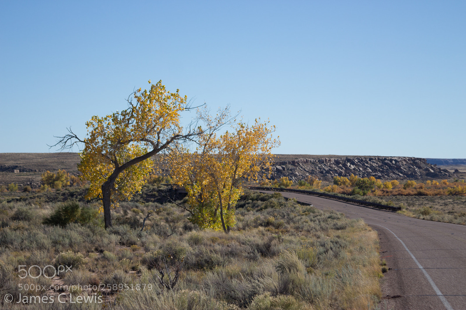 Canon EOS 700D (EOS Rebel T5i / EOS Kiss X7i) sample photo. Petrified forest national park photography
