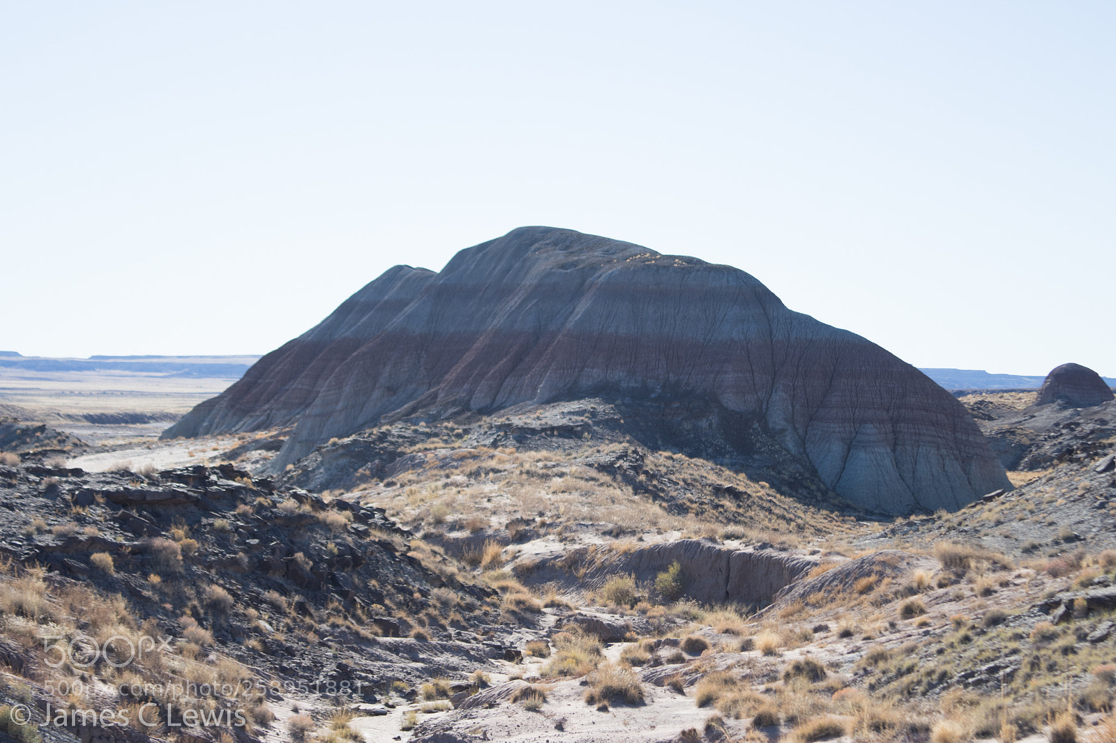 Canon EOS 700D (EOS Rebel T5i / EOS Kiss X7i) sample photo. Petrified forest national park photography
