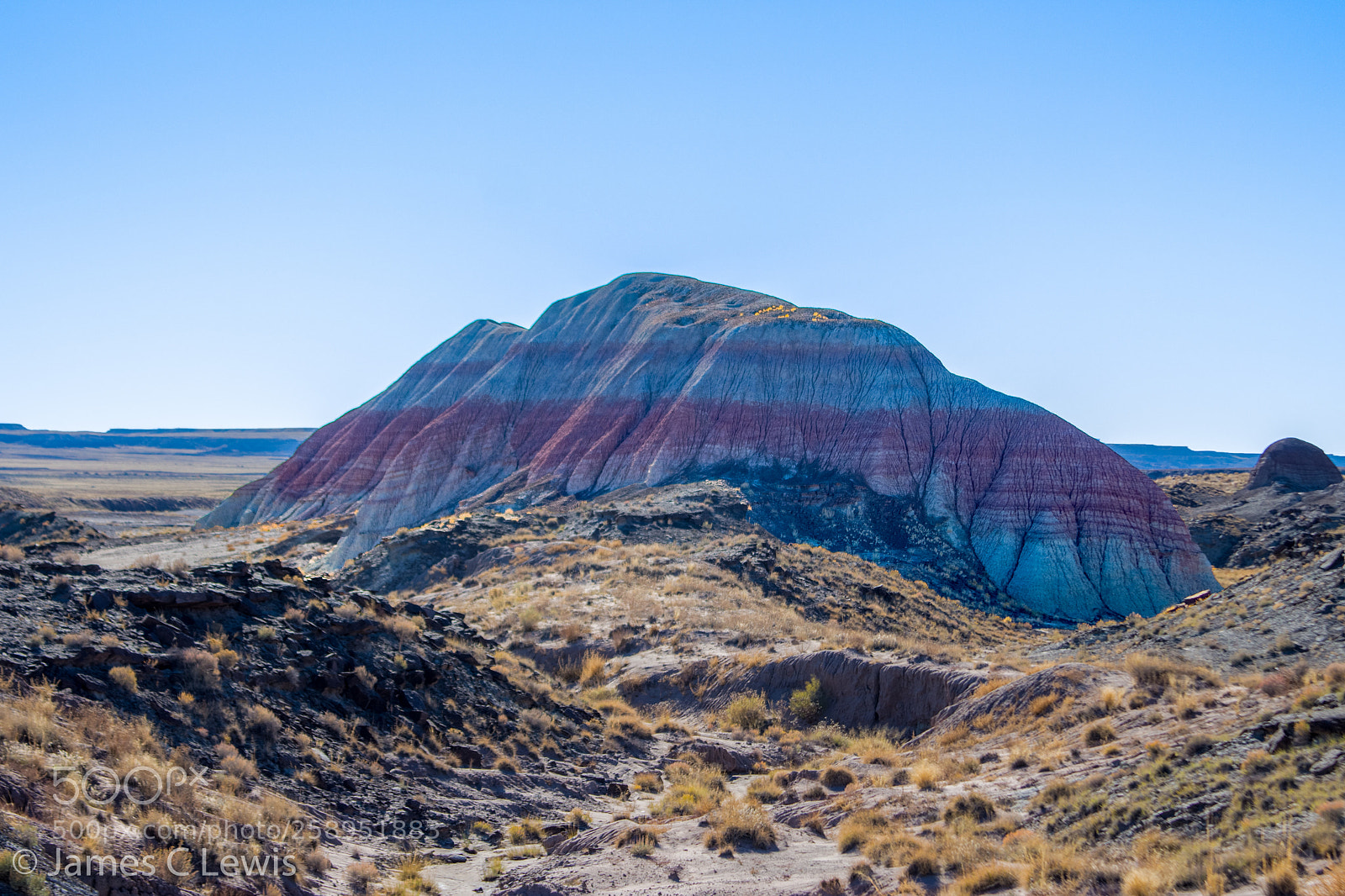 Canon EOS 700D (EOS Rebel T5i / EOS Kiss X7i) sample photo. Petrified forest national park photography