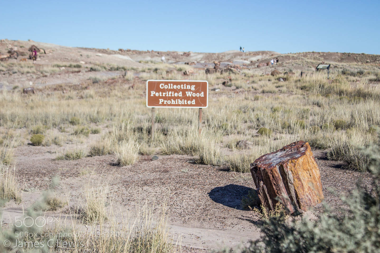 Canon EOS 700D (EOS Rebel T5i / EOS Kiss X7i) sample photo. Petrified forest national park photography