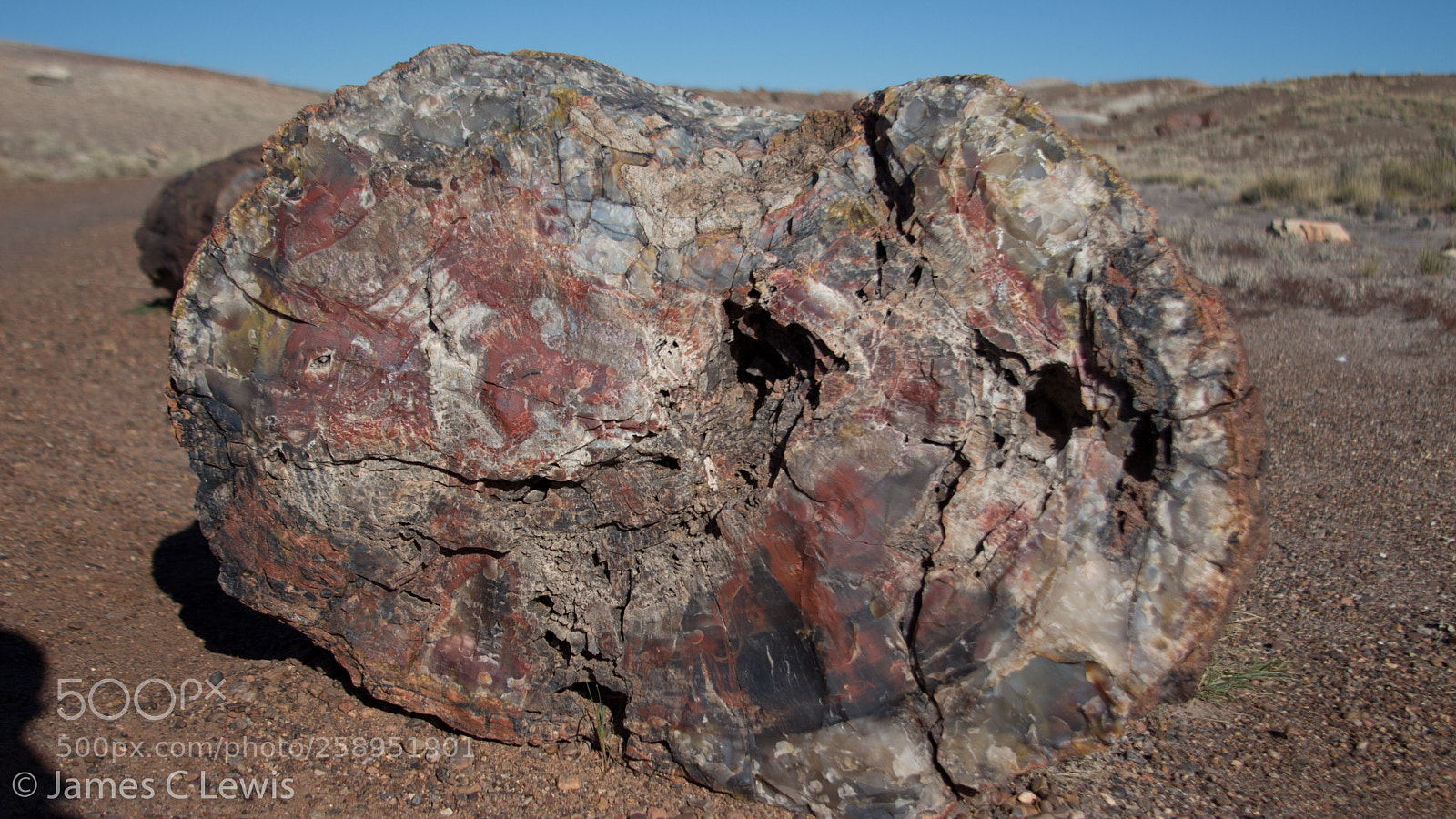 Canon EOS 700D (EOS Rebel T5i / EOS Kiss X7i) sample photo. Petrified forest national park photography