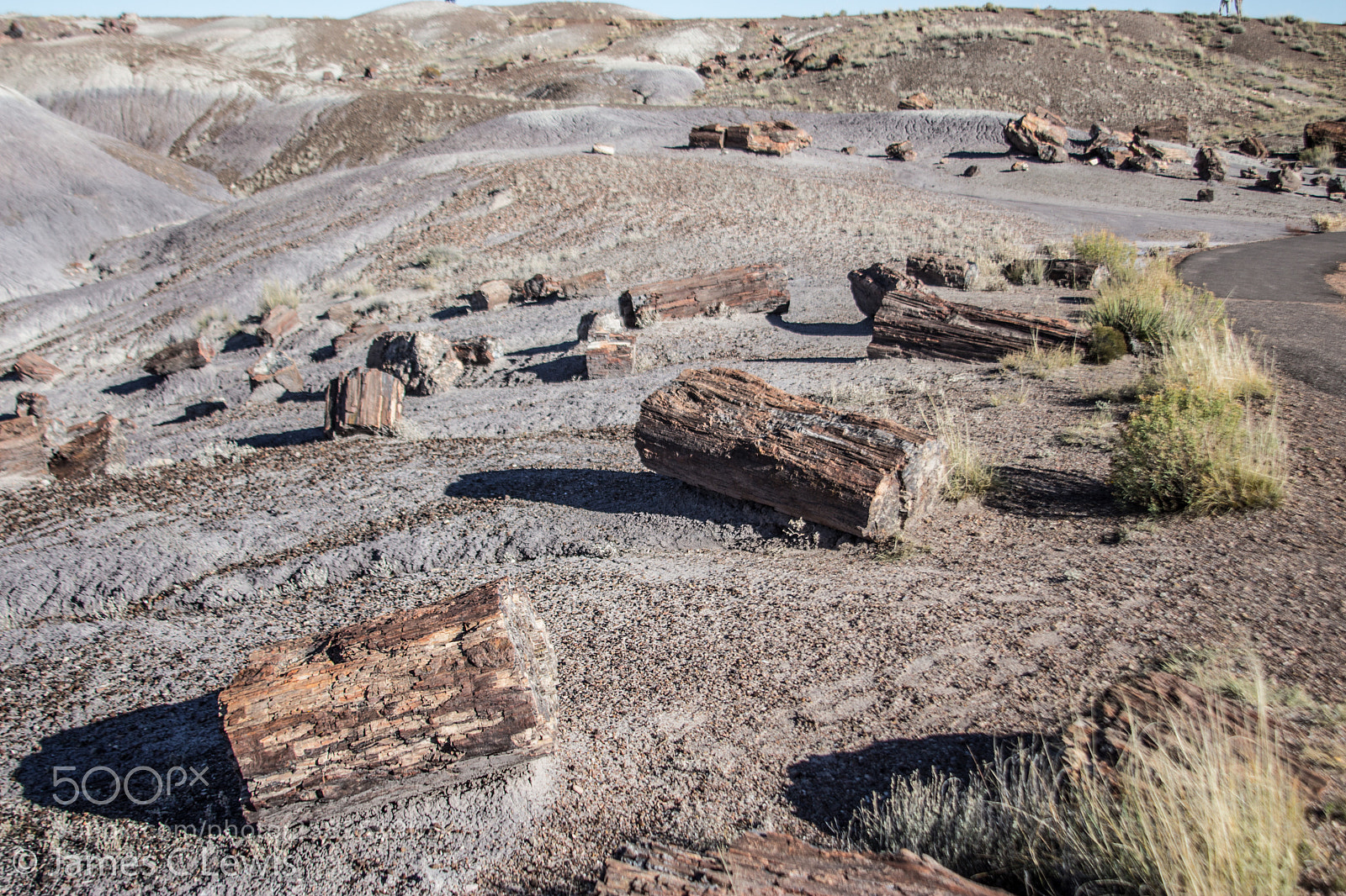 Canon EOS 700D (EOS Rebel T5i / EOS Kiss X7i) sample photo. Petrified forest national park photography
