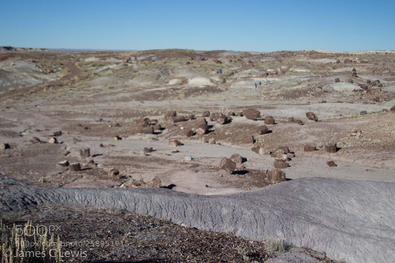 Canon EOS 700D (EOS Rebel T5i / EOS Kiss X7i) sample photo. Petrified forest national park photography