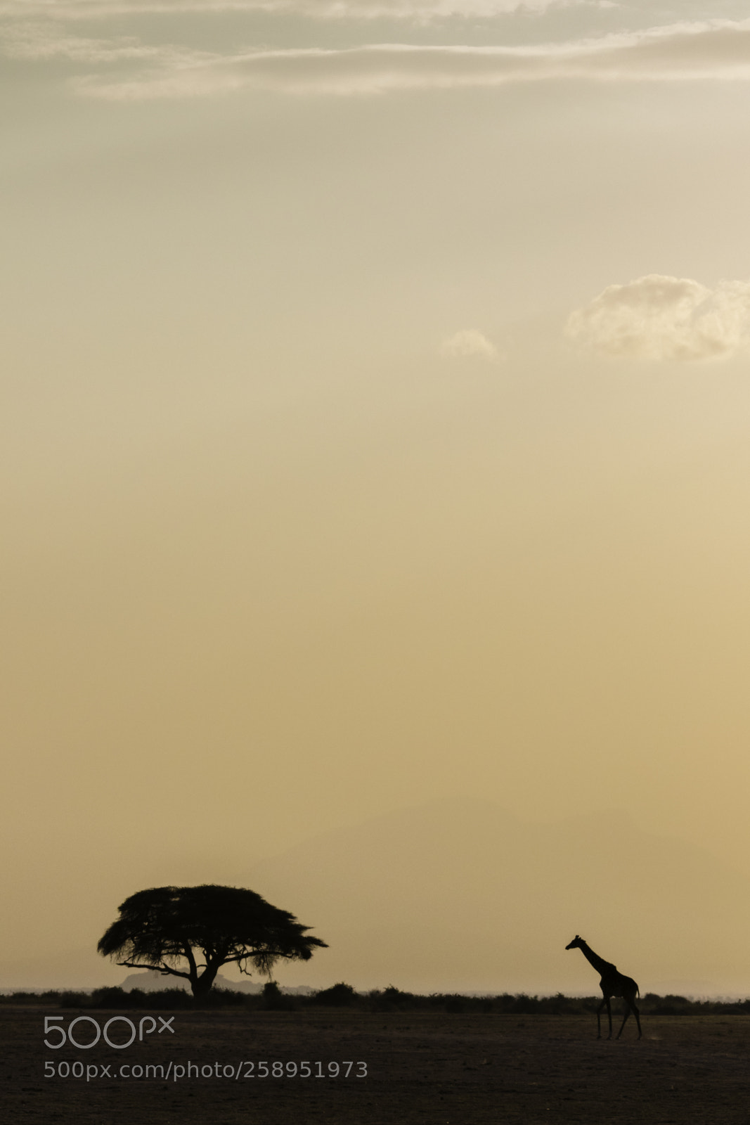 Canon EOS 7D Mark II sample photo. Da photography