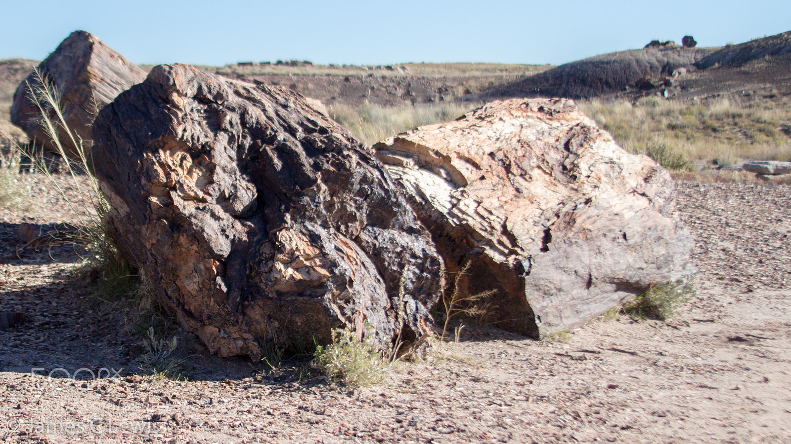 Canon EOS 700D (EOS Rebel T5i / EOS Kiss X7i) sample photo. Petrified forest national park photography