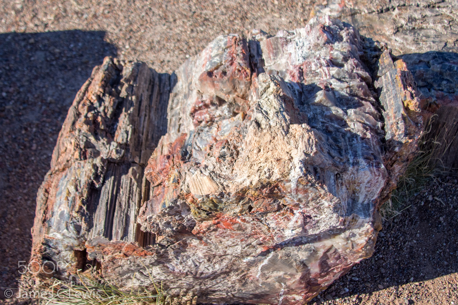 Canon EOS 700D (EOS Rebel T5i / EOS Kiss X7i) sample photo. Petrified forest national park photography